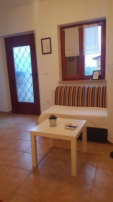 Apartments Sorgo Novigrad Istria Dış mekan fotoğraf